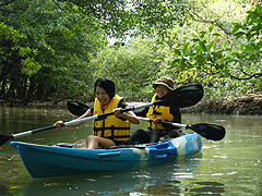 ニコラスツアーズ