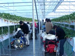 グルメいちご館 前田